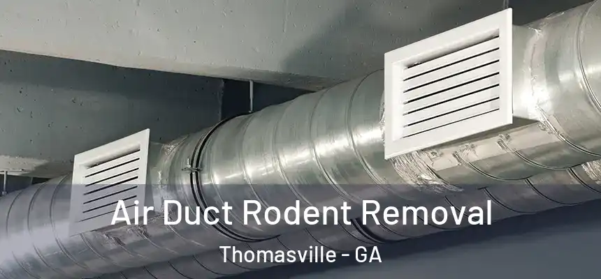  Air Duct Rodent Removal Thomasville - GA