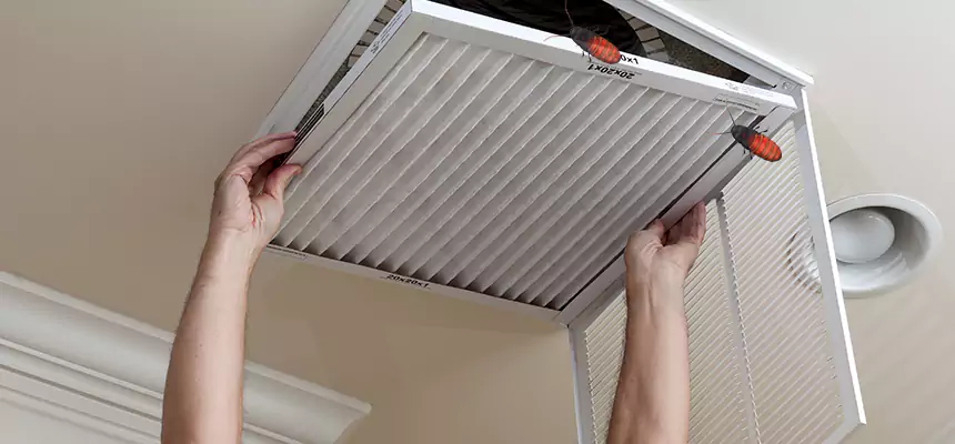Preventive Cockroach-Proofing for Ducts in Thomasville