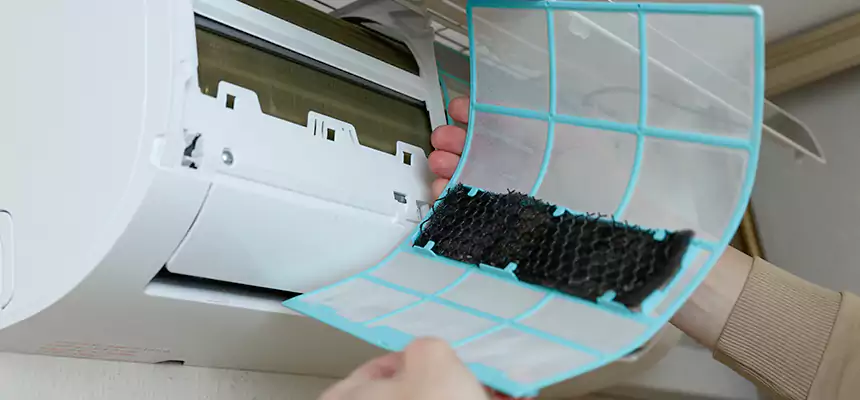 Gentle Ductwork Odor-Control Pet Dander Duct Cleaning in Thomasville, GA