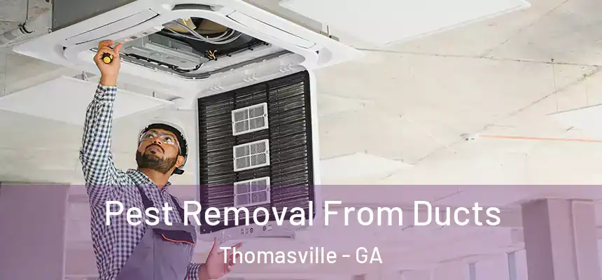  Pest Removal From Ducts Thomasville - GA