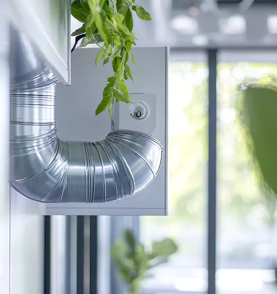 Professional Eco-Safe Dryer Vent Cleaning in Thomasville, GA