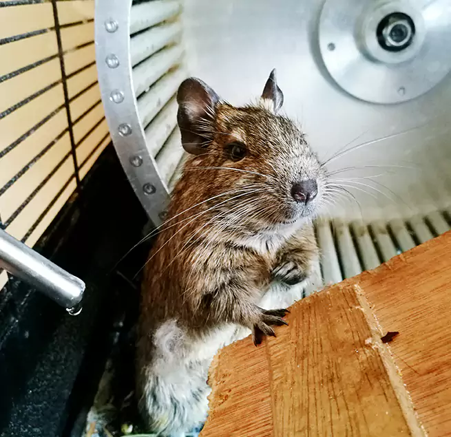 Why Homeowners & Businesses Trust Us Thomasville, GA