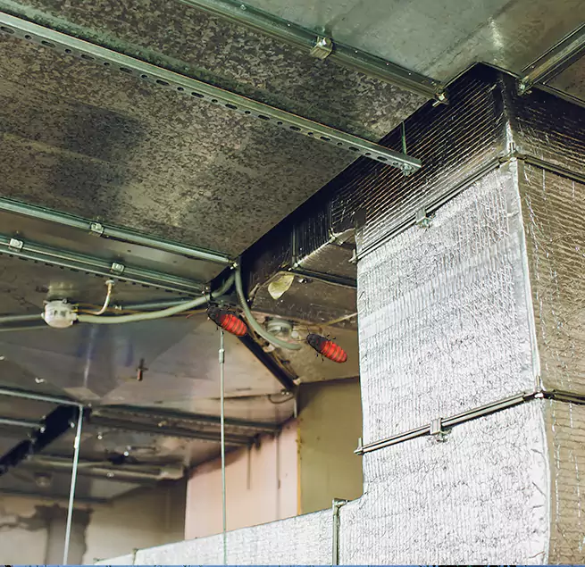 Why Homeowners & Businesses Trust Us Thomasville, GA?